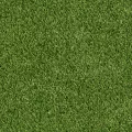 MSI Emerald Green Turf Full Roll 40Mm | LTRFREME15X100-40MM76OZ