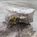 PA Fieldstone Boulders | PAFSBOU