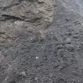 Mushroom Soil | MUSHROOMSOIL