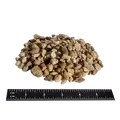 Pee Dee River Rock Small 1.35 Ton/ Yard | PDRIVERROCKSM