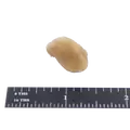 P Ea Gravel - Bulk | PEAGRAVEL_alt