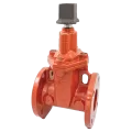 Nibco F-619-RWS-SON Non-Rising Stem Resilient Wedge Gate Valve Ductile Iron 2" Flanged | NSBC07XD