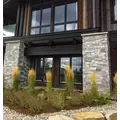 CASTLE ROCK - LEDGESTONE - THIN VENEER - FLATS -