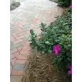 PH BROOKSTOWN FULL RANGE PAVER 3-5/8" X 7-5/8" X 1-3/8" 760 EA/ CUBE 152 EA/ BAND 168 SF/ CUBE MODULAR