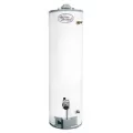 Residential Gas Water Heater, AMSTWH, 40000 BTU | GSN50T136LP