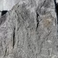 Silver Mist Standup Flagstone 1-1/2" +/- 1-1/2"