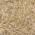 Straw Bale | STRAWBAL