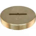 Slotted Cleanout Plug, Extension | 42004