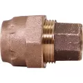 Adapter 1" Lead Free Brass, Ranger Compression x FNPT, Mac-Pac | 5196-004