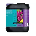 B'Cuzz Blossom Builder, 5L
