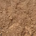 Fill Dirt - Per Scoop