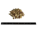 Pea Gravel, 1/2" X 1-1/2"