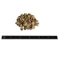 Pea Gravel, 1/2" X 1-1/2"