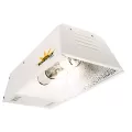 Lens for Mini Sunburst