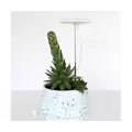 SunBlaster Halo 360 LED Plant Light, w/ USB Adaptor and Timer