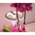 SunBlaster Halo 360 LED Plant Light, w/ USB Adaptor and Timer