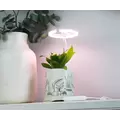 SunBlaster Halo 360 LED Plant Light, w/ USB Adaptor and Timer