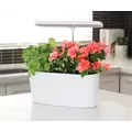 SunBlaster Nano Growlight Garden, w/ LED Grow Light, Timer and Adapter