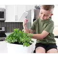 SunBlaster Nano Growlight Garden, w/ LED Grow Light, Timer and Adapter
