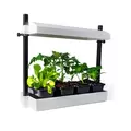 Sunblaster Micro T5 Grow Light Garden, White