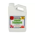 Maxicrop Liquid Seaweed Plus Iron, 1 qt