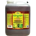 Microbe Life Photosynthesis Plus, 5 gal