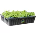 oxyCLONE PRO Series 80 Site Cloning System