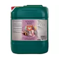 House & Garden Nitrogen Boost, 5 L