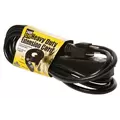 Heavy Duty Extension Cord, 240V, 12'