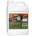Green Cleaner, 2.5 gal