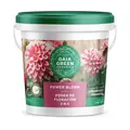 Gaia Green Power Bloom, 2 kg