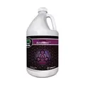 Cutting Edge Solutions Cal-Mag Amplified, 1 gal