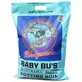 Malibu Compost 12 Quart Baby Bu's Potting Biodynamic Soil