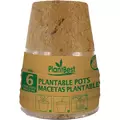 PlantBest 4.25" Biodegradable Coconut Coir Pot - 6 Pk
