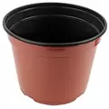Grower Select 08.00 Coex MumPan Terra Cotta 3.54qt Bulk 3220/PL - 8in OD x 6.0in H