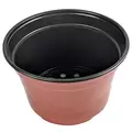 Grower Select 09.00 Coex MumPan Terra Cotta 1.26gal 240/CS - 9in OD x 6.25in H