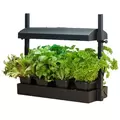 Growlight Garden Micro Black