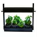 SunBlaster LED Micro Glg Black