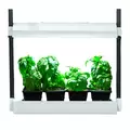 SunBlaster LED Micro Glg White