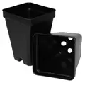 T. O. Plastics 02.50 Press Fit Pot Square Vacuum Deep 250 Black 800 Per Case 48 Case Per Pallet 700003C Use 705105C Tray