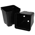 T. O. Plastics 03.25 Press Fit Pot Square Vacuum Deep 325 Black 450 Per Case 48 Cases Per Pallet 700014C Use 705115C With Tray