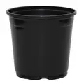 JAN 17CM H TRADE 1GL POT BLK 360/CS