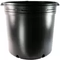 NS 4000BXL OLYMPIAN, TRADE SIZE 10 GALLON, 9.16 GALLON, BLACK 27/CS 16CS/TOWER (15-3/4"X15"), 10Gallon