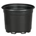 DLN 05.00 AZ SHORT COEX BLK/BLK 675/CS 36CS/PL