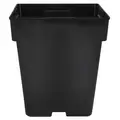 DLN 05.50 SQ JUMBO T/W TL BLK 288/CS 36CS/PL