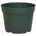 DLN 06.50 RND AZ TRAD T/W 300GN 240/CS 48CS/PL