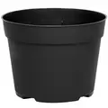 DLN 06.50 RND AZ TRAD T/W BLK 240/CS 48CS/PL