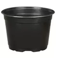 DLN 17.00 CM EURO POT COEX SHORT BLK 300/CS 32CS/P