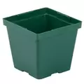 DLN 04.00 SQ T/W TL 300GN 846/CS 32CS/PL