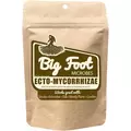 Big Foot 5